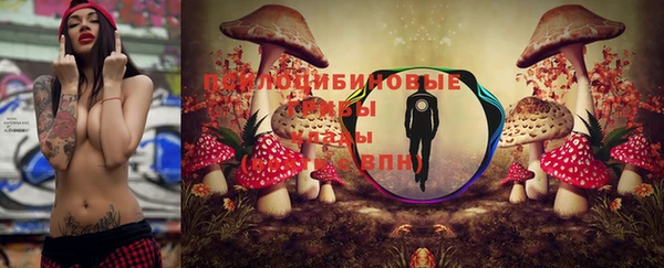 марки lsd Карталы