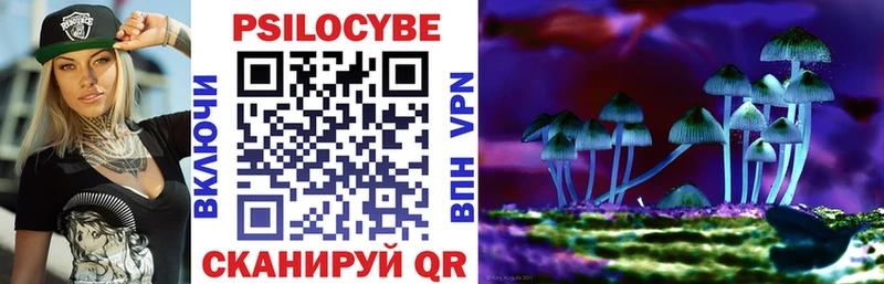 Псилоцибиновые грибы прущие грибы Сертолово